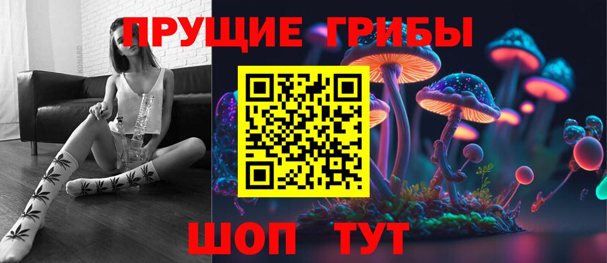 Псилоцибиновые грибы Psilocybine cubensis Ликино-Дулёво